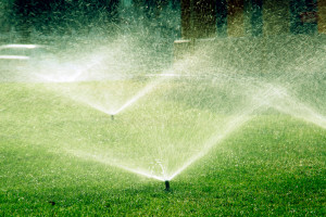 Watering the Lawn